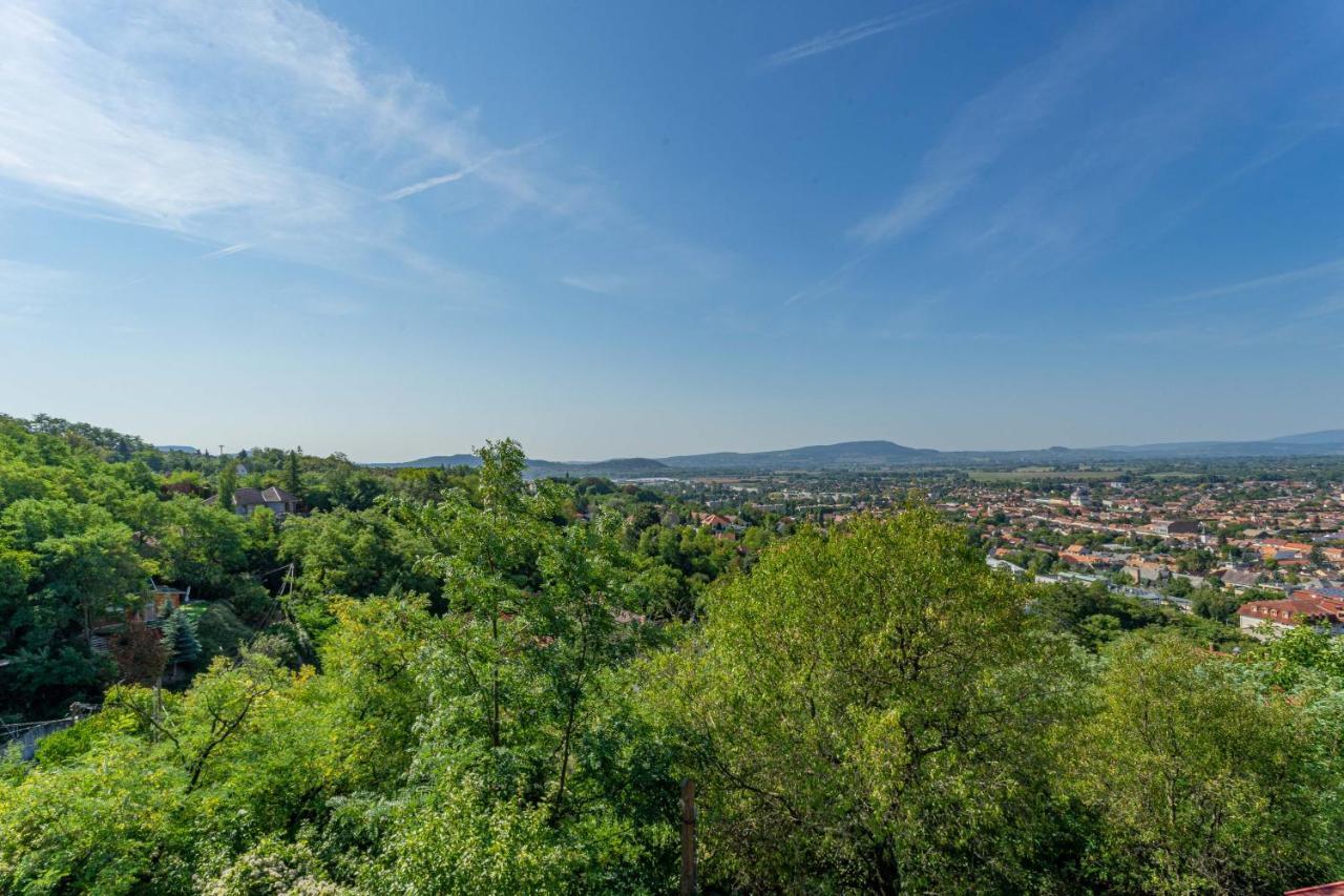 Panorama Apartmanhaz エステルゴム エクステリア 写真